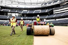 FIFA's hybrid grass pitches demand complex upkeep for World Cup
